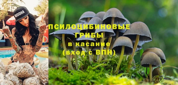 mdma Новодвинск