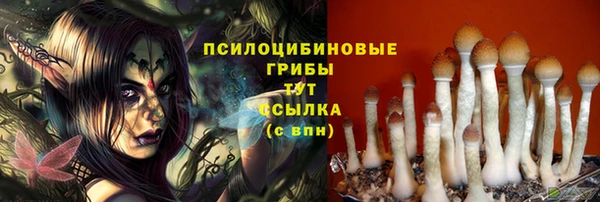mdma Новодвинск